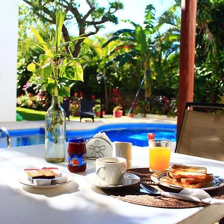 Green Oasis Home Boutique Playa del Carmen Buitenkant foto