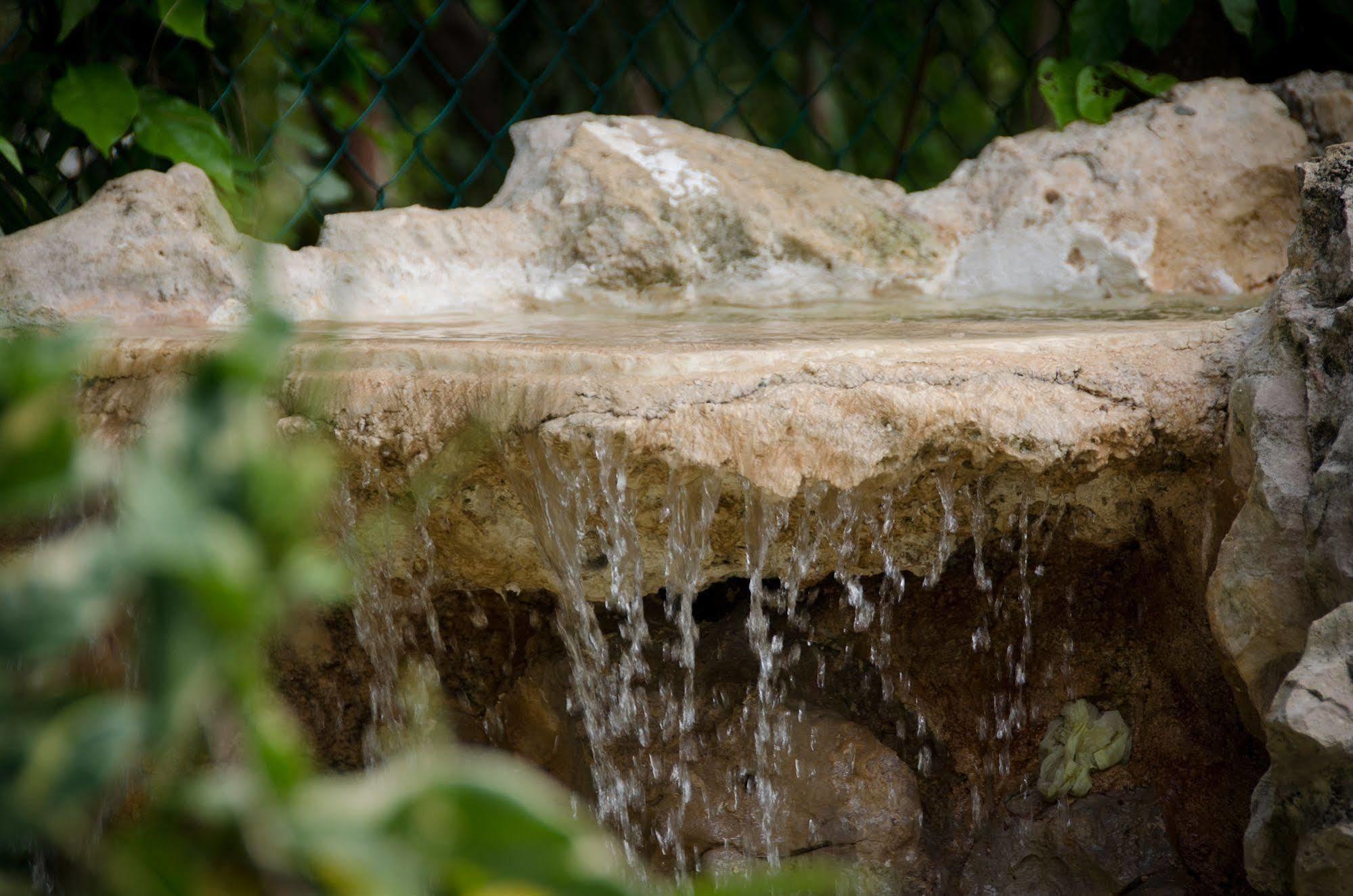 Green Oasis Home Boutique Playa del Carmen Buitenkant foto