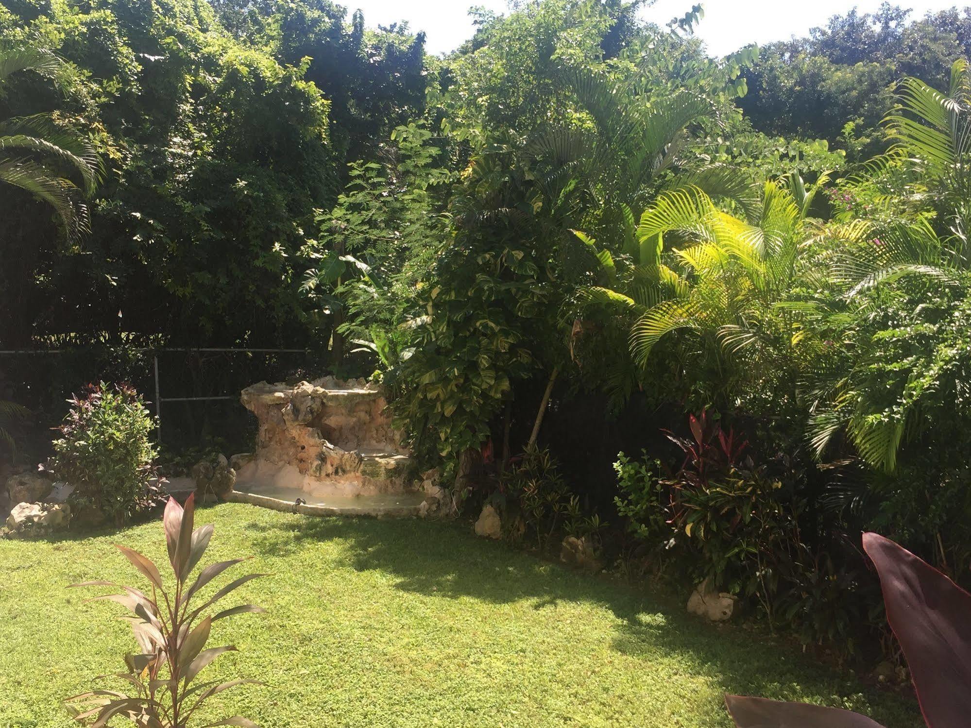 Green Oasis Home Boutique Playa del Carmen Buitenkant foto