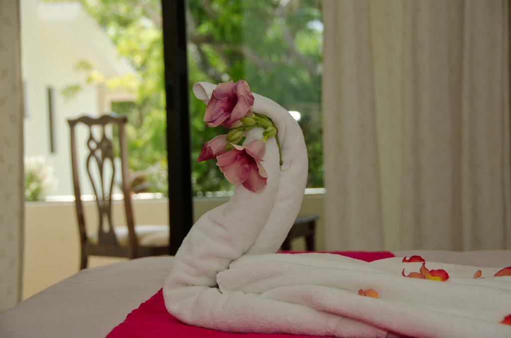 Green Oasis Home Boutique Playa del Carmen Buitenkant foto